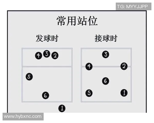 武汉排球队的节奏解析与深度剖析排球运动的魅力与挑战 武汉排球队的节奏解析与深度剖析排球运动的魅力与挑战